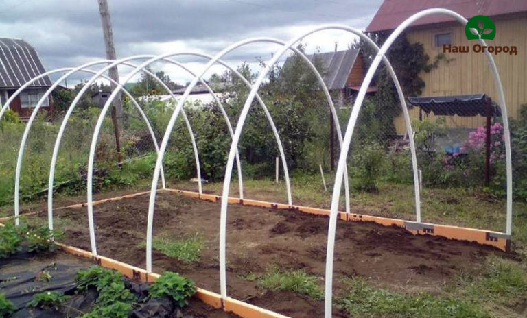 mga greenhouse na gawa sa polycarbonate