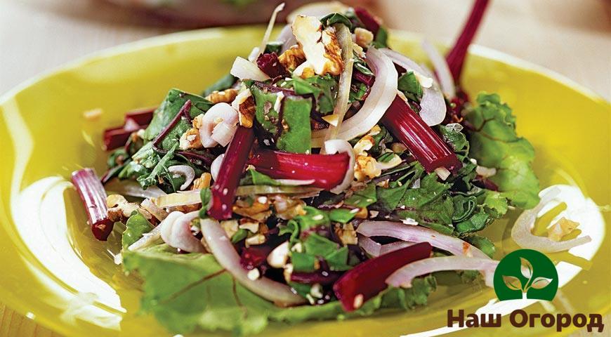 Beet leaf salad is one of the many options for preparing a delicious and healthy dish