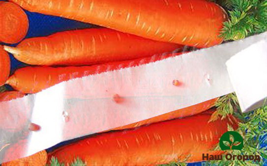 Special adhesive tape for sowing carrots