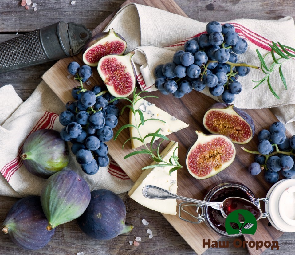 Figs can be used to make a variety of goodies.