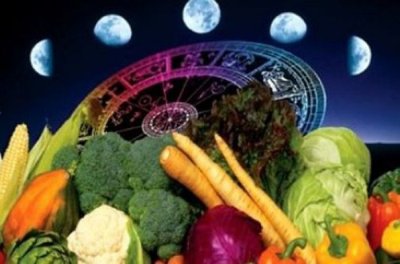 Vegetable crops influenced by the moon phase