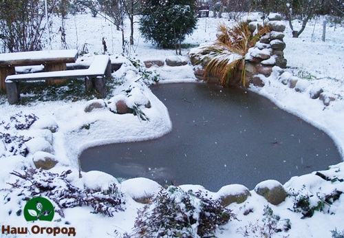 Decorative pond in winter