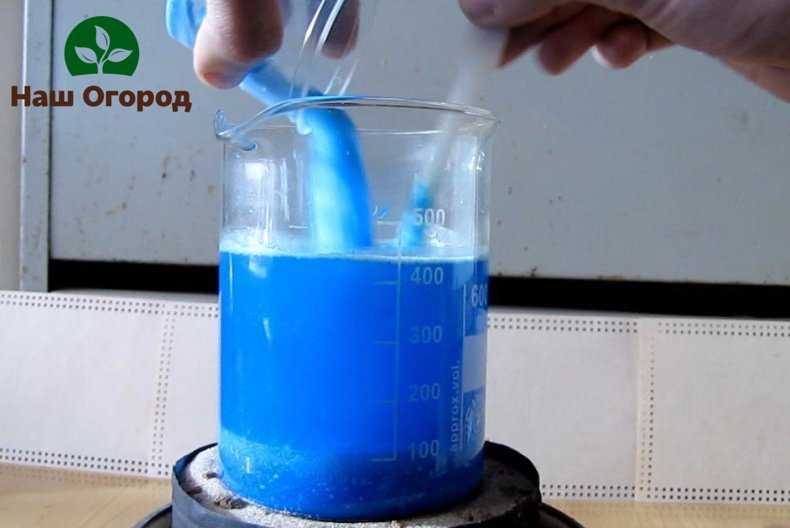 Preparation of a solution of copper sulfate for treating trees