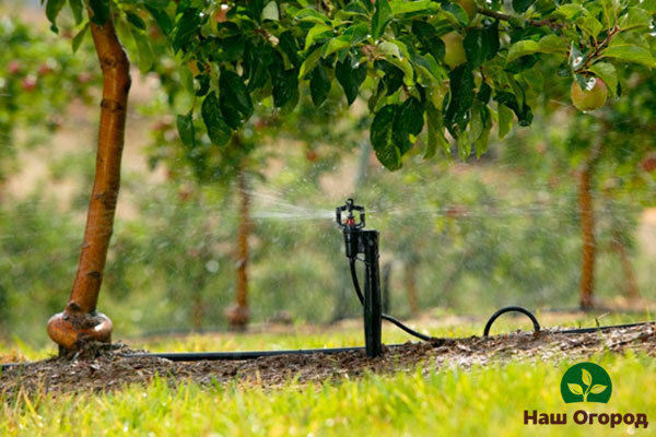 trabajo de jardinería en mayo