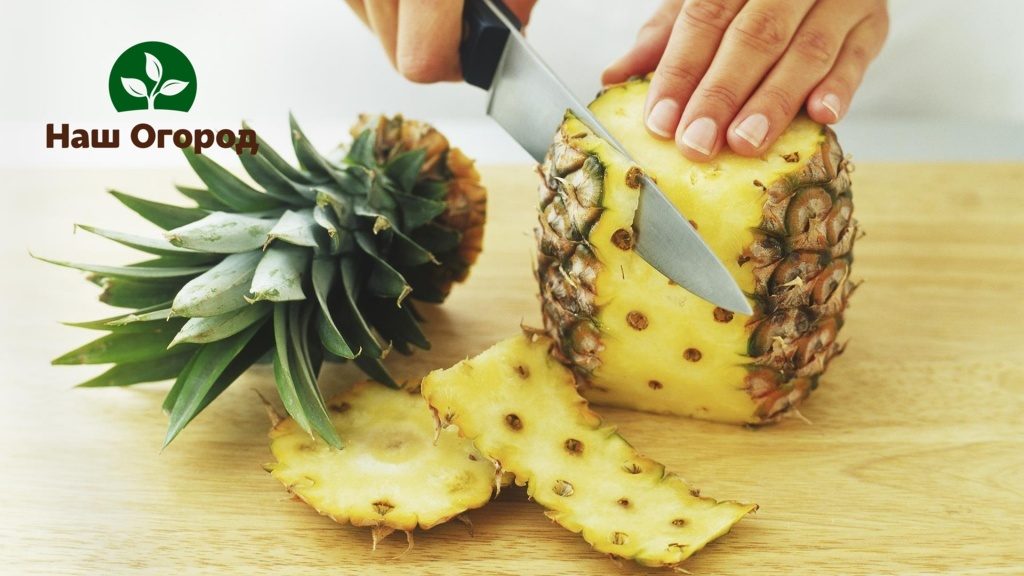 Pineapple slows down aging.