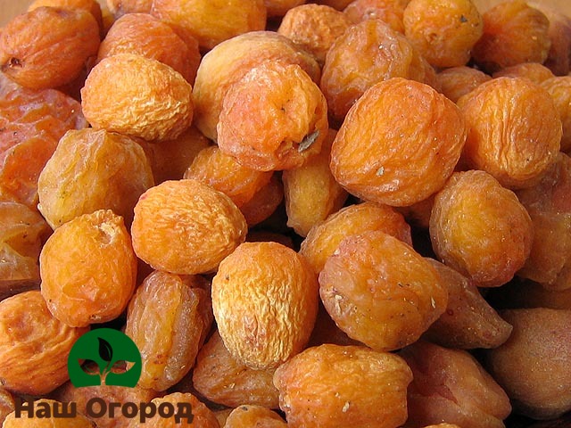Tørket aprikos har også mange helsemessige fordeler
