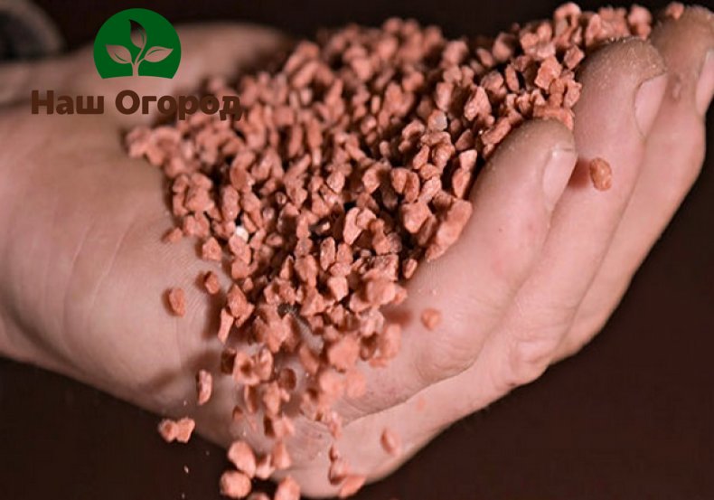Most often, potash fertilizers are used when it is necessary to allow plants to develop a more powerful root system.