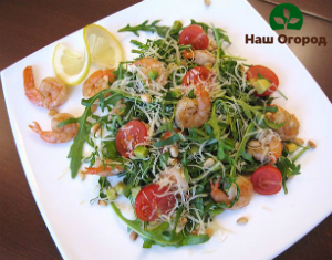Very often arugula can be found in vitamin salads and snacks.