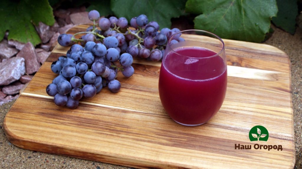 Grapes have a positive effect on the nervous system.