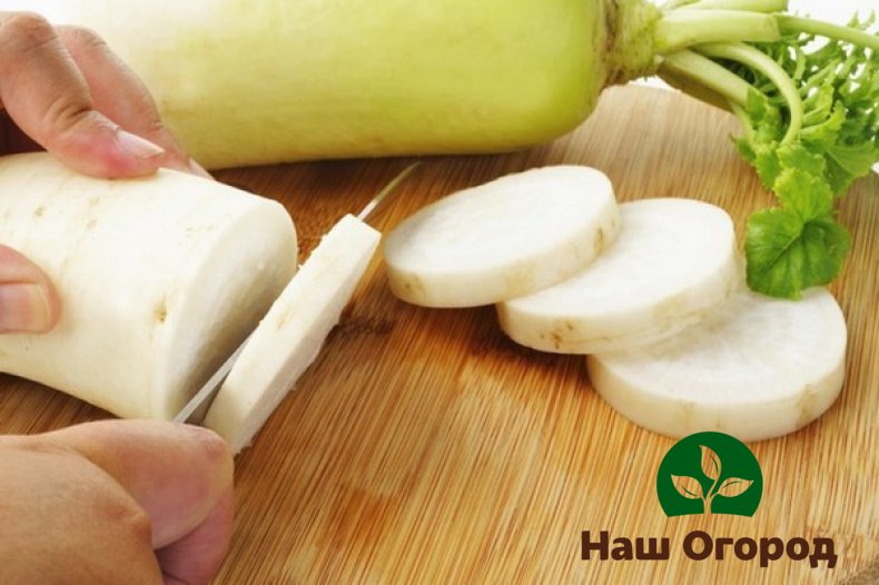 Culinary experts add daikon to many dishes, giving them a subtle aroma and original taste.