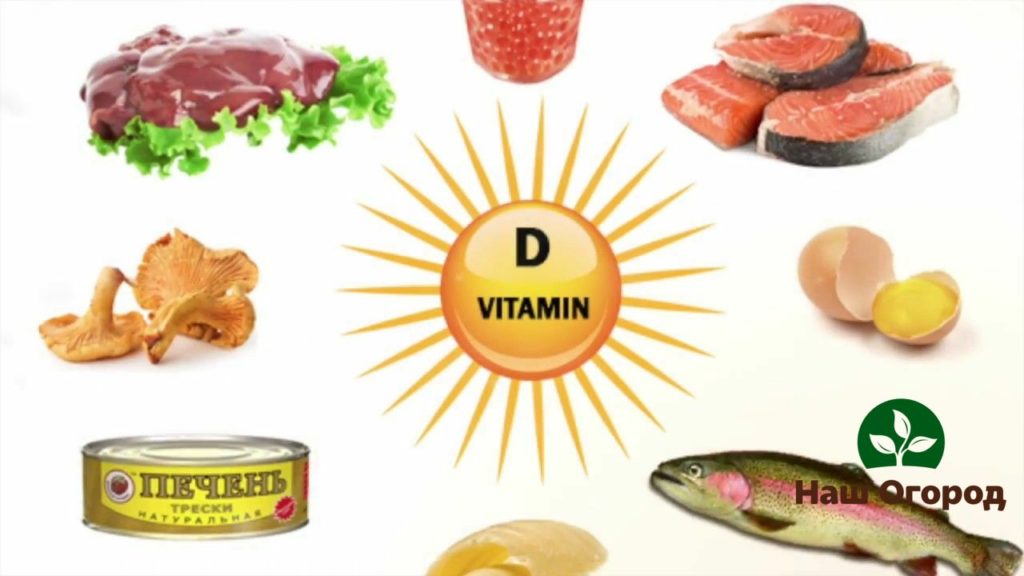 Aliments contenant de la vitamine D saine