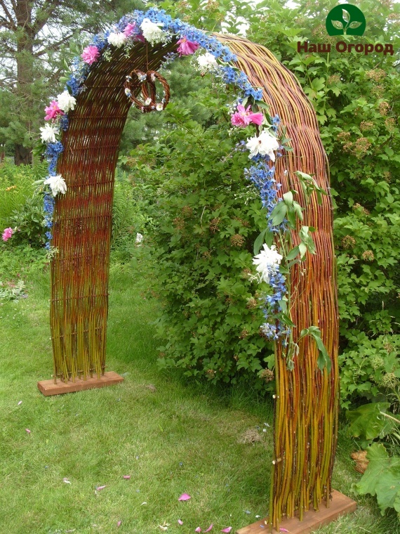 An arch woven from a willow vine
