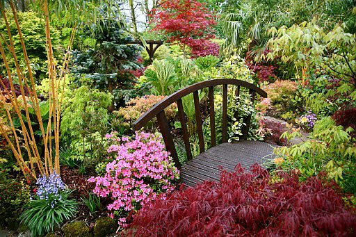 Der mit verschiedenen Pflanzen gefüllte Garten sieht sehr beeindruckend aus.