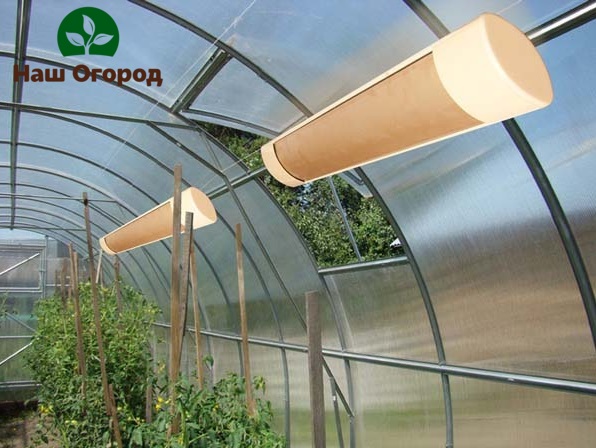 For better growth of peppers, it is recommended to put lighting in the greenhouse.