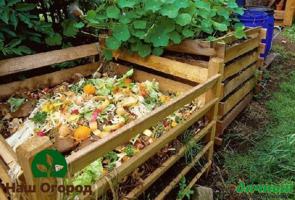 The compost itself should be laid out on a previously prepared layer of dry leaves.