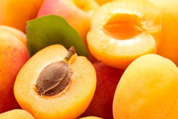 Apricot contraindications