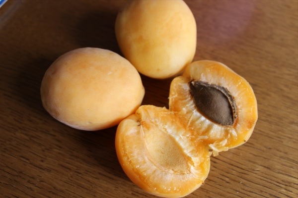 Pelbagai jenis aprikot nanas