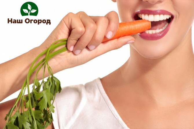 Regular consumption of carrots helps to improve the health of teeth and gums