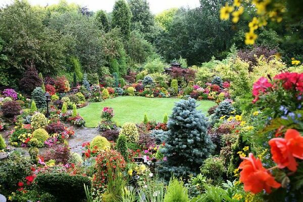 english flower garden