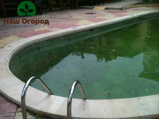 Fallen leaves, dirt, and muddy water should not be allowed to appear in the pool.