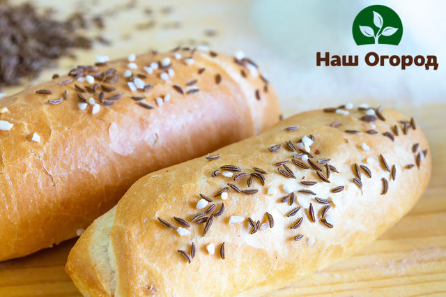 Bread with caraway seeds is very popular among those who want to lose weight, since caraway seeds tend to remove excess fluid from the body.