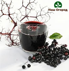 Healthy black elderberry tea