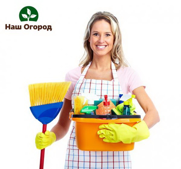 To clean the house, you will need additional cleaning and washing products