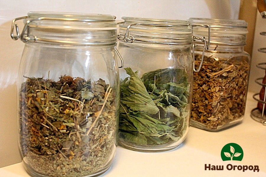Storing thyme in glass jars