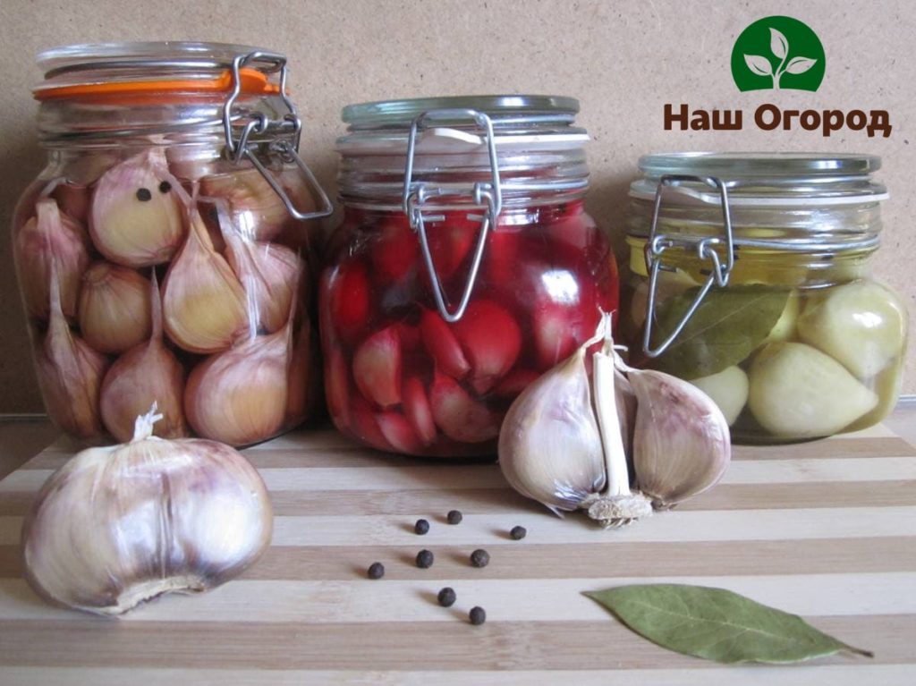 Garlic in a marinade is not only a fairly tasty delicacy, but also a very healthy food.