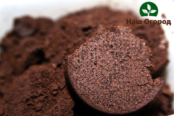 Es ist besser, getrunkenen Kaffee als Dünger zu verwenden, da in frischem Kaffee Säure enthalten ist, die den Boden schädigen kann