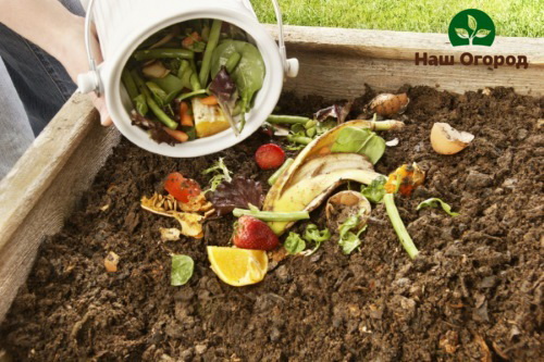 Į kompostą gali patekti visos augalinės atliekos, nesvarbu, ar tai bananų žievelės, ar tuščios žirnių ankštys