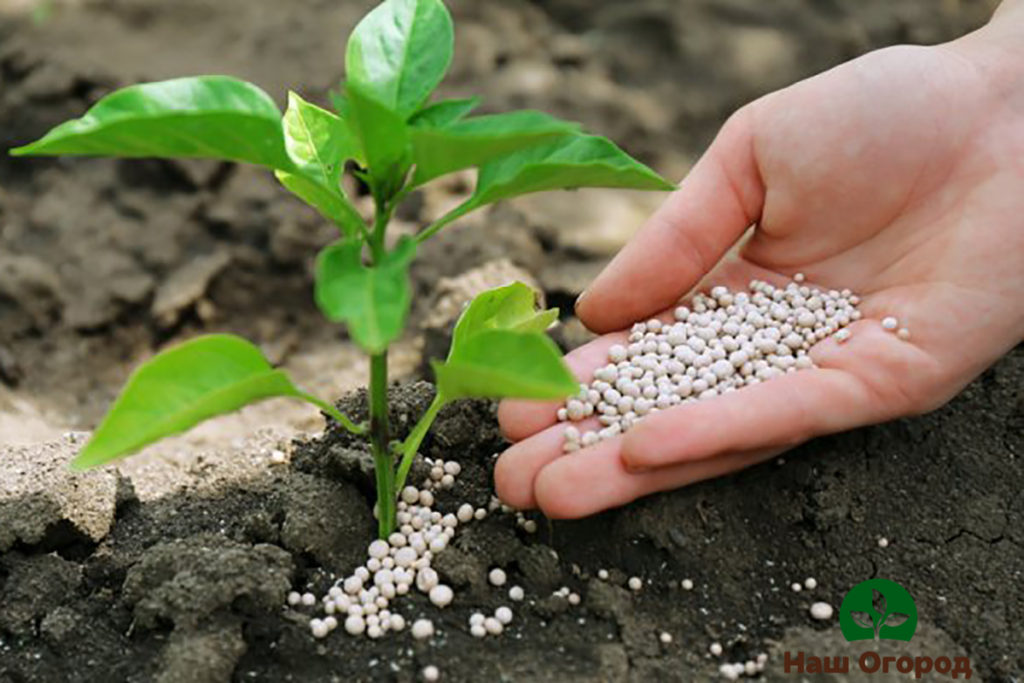 Potash fertilizer