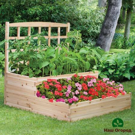 Unusual solution for creating a strawberry garden