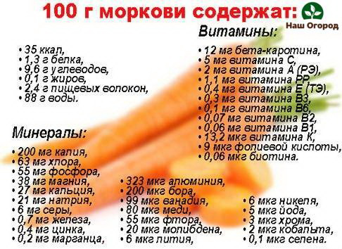 Carrots are rich in healthy vitamins and minerals