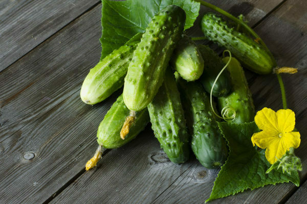 cornichon parisien au concombre