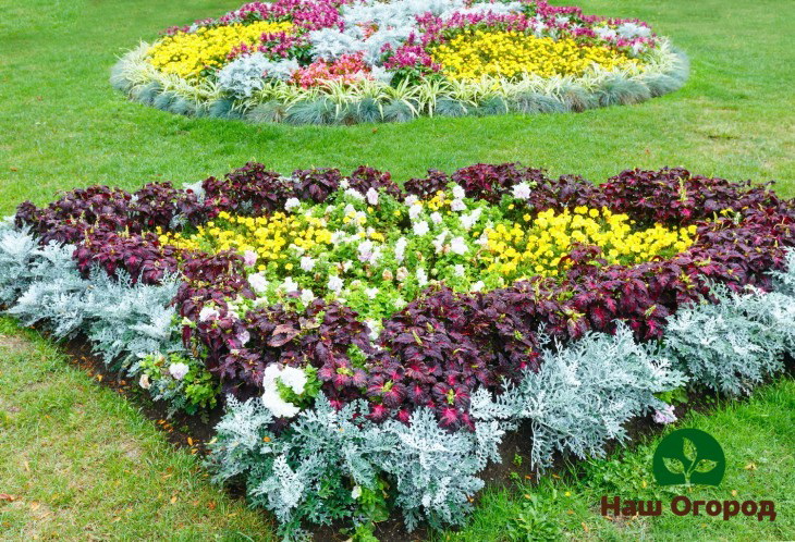 An example of how to successfully arrange flowers in a flower bed