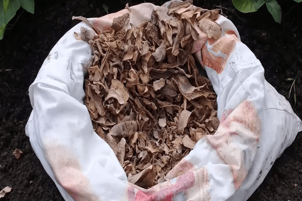 Concimazione del terreno in autunno