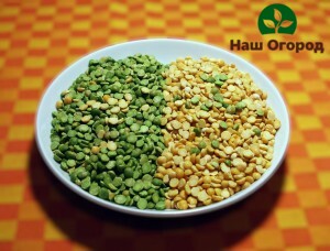 In terms of their composition, peas are very useful, so they can be safely added to various dishes.