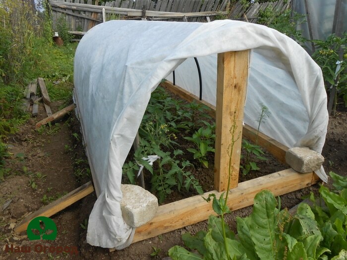 DIY fóliový skleník na papriku tiež perfektne ochráni papriky pred chladnými nocami.