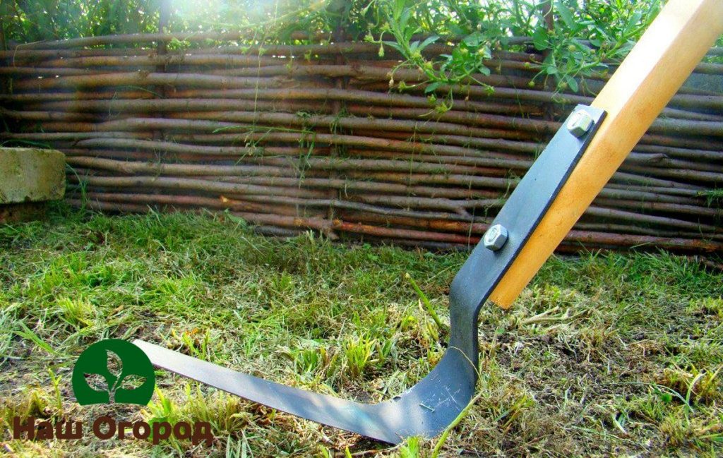 Плоският нож е рядък градинарски инструмент, идеален за разрохкване на почвата