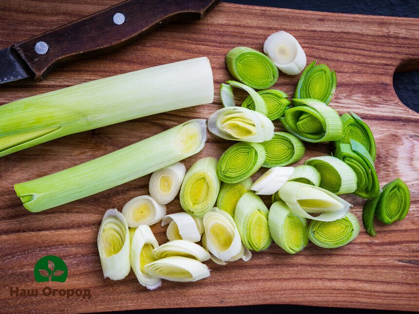Leek sprouts