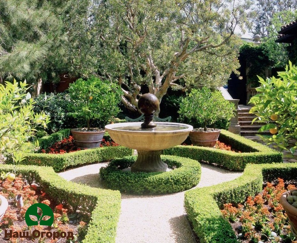 garden in an unusual style
