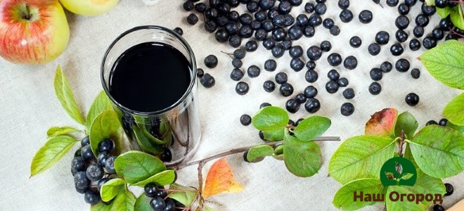 Freshly squeezed chokeberry juice has many beneficial properties