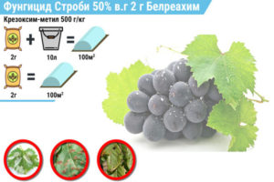 grape strobes