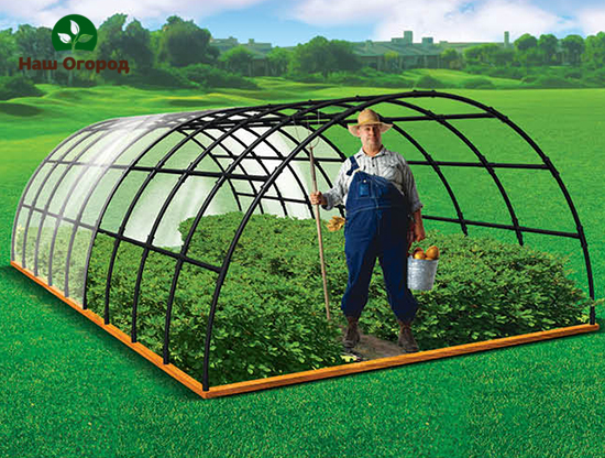 Arched greenhouse
