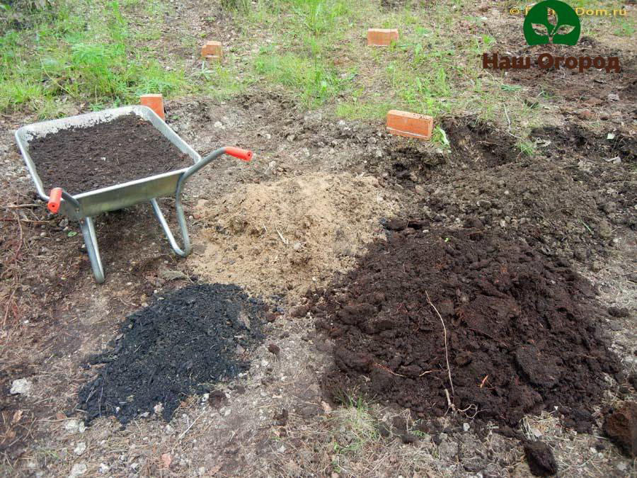 Торфените почви трябва да се смесват с глина или пясък преди засаждане на култури върху нея