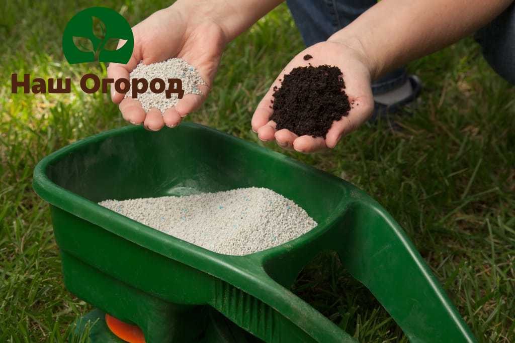 When fertilizing the soil, it is necessary to calculate how much fertilizer is needed for a particular crop. Cannot be fertilized in excess of the permissible rate