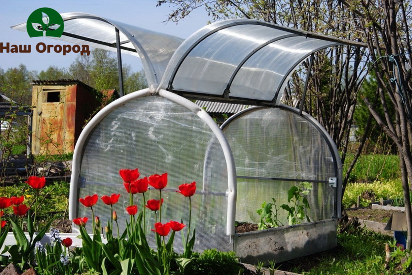 Hindi karaniwang greenhouse na may bukas na mga pintuan sa gilid