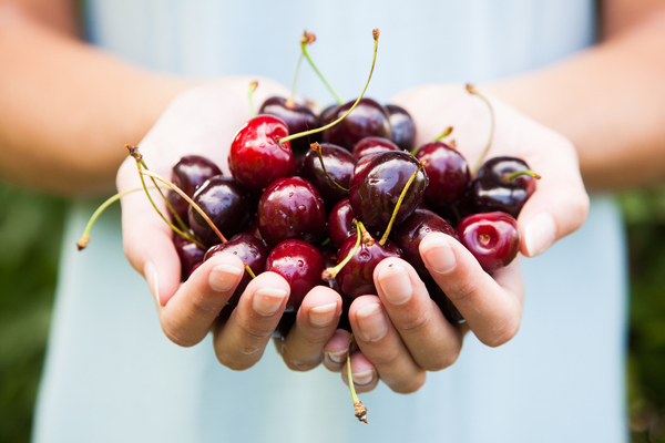 How to treat cherries + from pests
