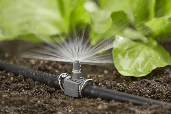automatic irrigation system